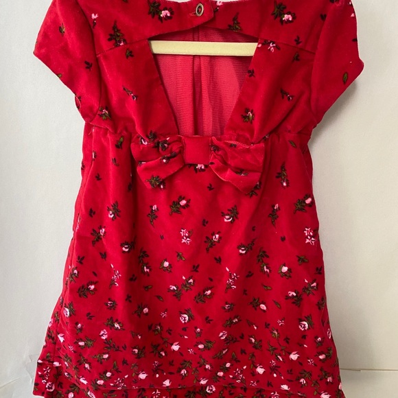 Old Navy Other - Old Navy girls velvet dress w/ roses.